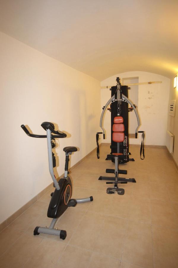 Apartment Vikroria - Hálkova 5 Praga Esterno foto